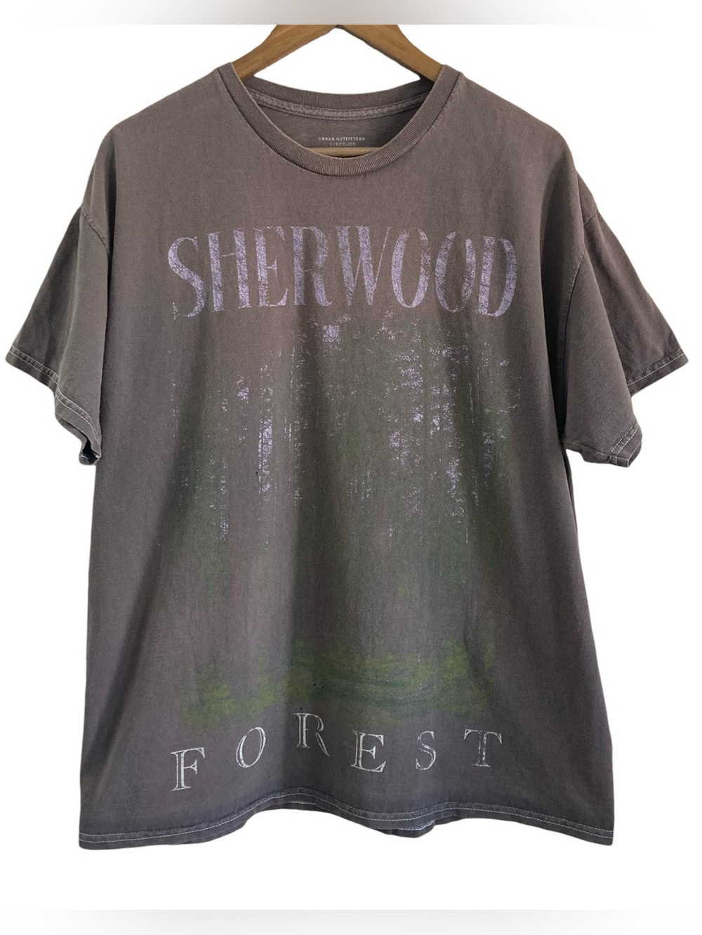UO Sherwood Forest Destination Graphic Cotton Gray Tee Shirt Unisex Oversized